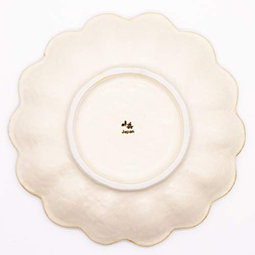 Kaneko Kohyo Mino ware 21cm plate White Neriwahana NEW from Japan_2