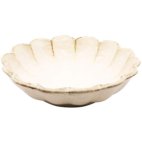 Mino Yaki Kaneko Kohyo Rinka Bowl 21cm White 555-0021 NEW from Japan_1