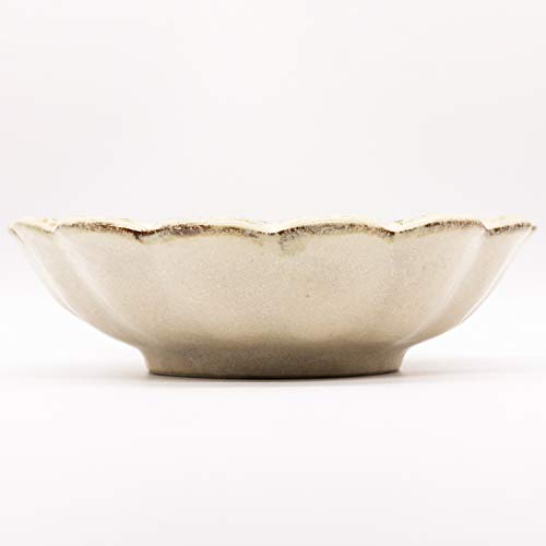 Mino Yaki Kaneko Kohyo Rinka Bowl 21cm White 555-0021 NEW from Japan_3