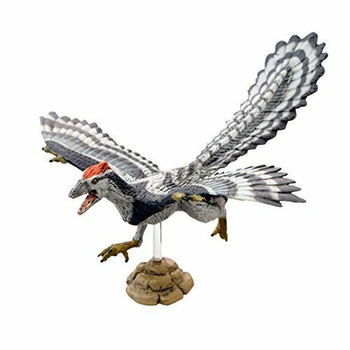 Favorite Dinosaur Soft Model Series Figure Archaeopteryx FDW-015 from Japan NEW_1