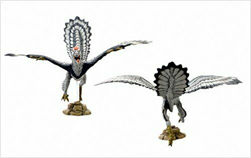 Favorite Dinosaur Soft Model Series Figure Archaeopteryx FDW-015 from Japan NEW_8