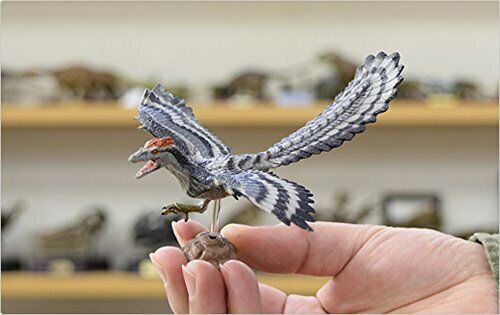Favorite Dinosaur Soft Model Series Figure Archaeopteryx FDW-015 from Japan NEW_9