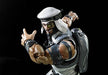 S.H.Figuarts Street Fighter RASHID Action Figure BANDAI NEW from Japan F/S_6