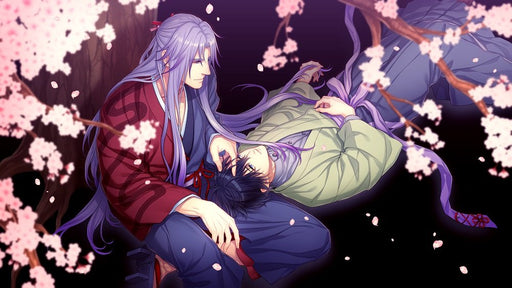 PS Vita Game Software Taishou Mebiusline Teito Bibouroku Hare VLJM-35448 NEW_2