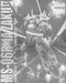 BANDAI MG 1/100 MS-06R-1A ZAKU II SHIN MATSUNAGA CUSTOM TYPE Model Kit NEW F/S_1