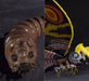 S.H.MonsterArts Godzilla vs MOTHRA Adult & Larva Special Color Figure BANDAI NEW_1