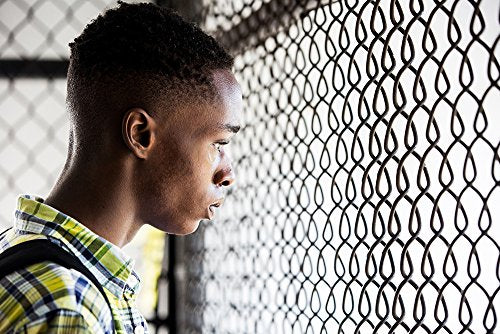 Moonlight Collector's Edition Blu-ray Booklet TCBD-664 director audio commentary_3