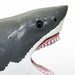 Favorite Great White Shark Vinyl Model Premium Edition FM-351 NEW from Japan_5
