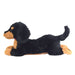 Sun Lemon Hiza Wanko miniature dachshund S size Black Plush Doll ‎P-3012 NEW_3