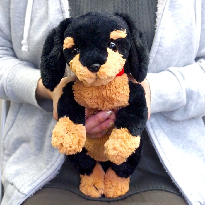 Sun Lemon Hiza Wanko miniature dachshund S size Black Plush Doll ‎P-3012 NEW_5