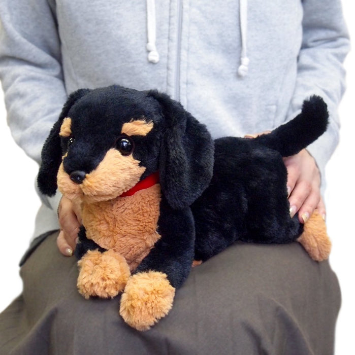 Sun Lemon Hiza Wanko miniature dachshund S size Black Plush Doll ‎P-3012 NEW_6