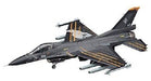 Hasegawa 1/72 F-2A Ace Combat Kei Nagase Plastic Model Kit NEW from Japan_1