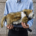 Canal BH7256 HANSA raccoon dog 46 Real Design Collection Animal Plush Doll NEW_7