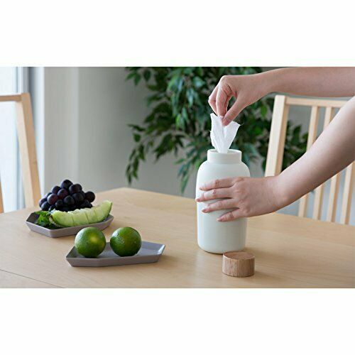 ideaco Ideako wet tissue case Mochibin Sand White NEW from Japan_3