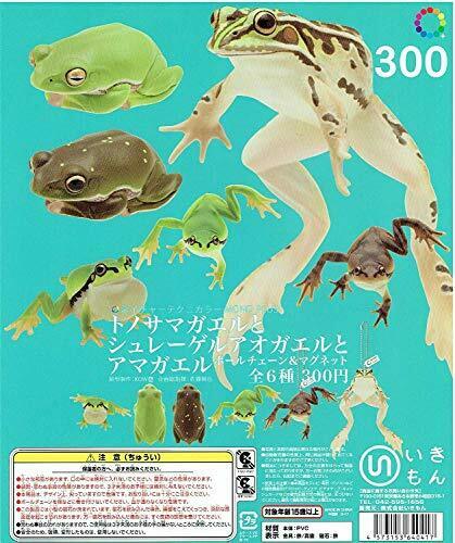 Kitan club Capsule Nature Technicolor MONO Treasure frog magnet Complete set_1