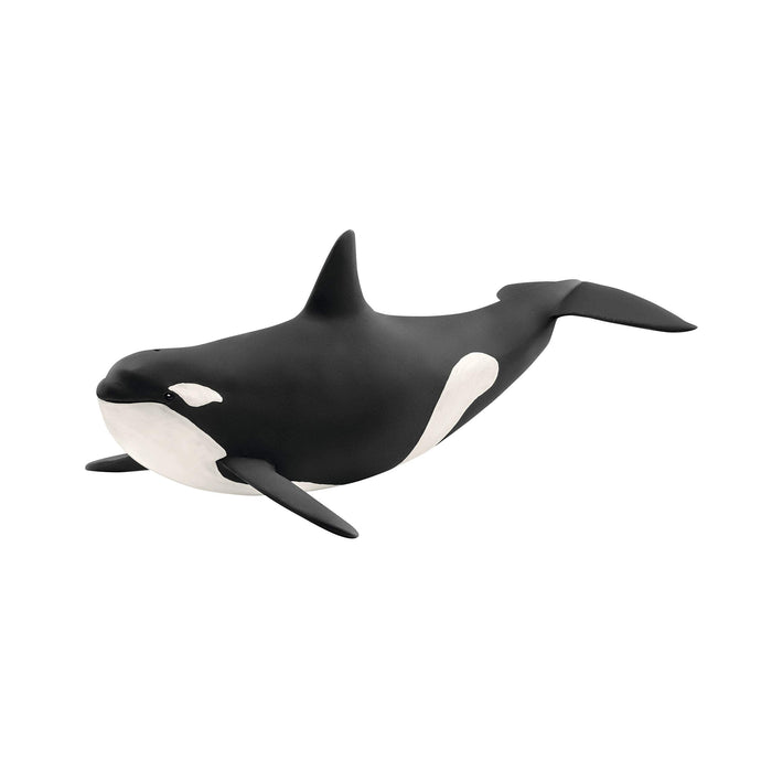 Schleich 14807 Orca 7 11/16in Series Waterworld Novelty 2018 19.5Lx9.7Wx6.7Hcm_1
