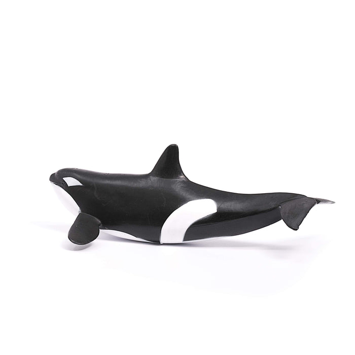Schleich 14807 Orca 7 11/16in Series Waterworld Novelty 2018 19.5Lx9.7Wx6.7Hcm_4