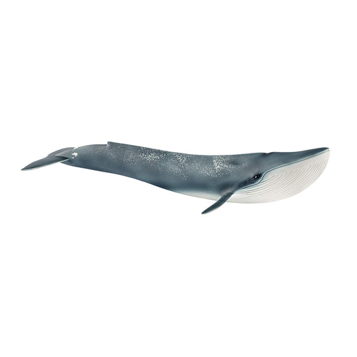 Schleich Wild Life Blue Whale Toy Figurine PVC 27.4Lx10.1Wx4.9Hcm14806 NEW_1
