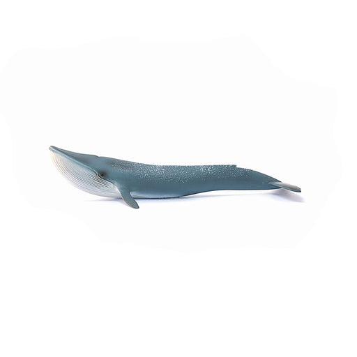 Schleich Wild Life Blue Whale Toy Figurine PVC 27.4Lx10.1Wx4.9Hcm14806 NEW_2