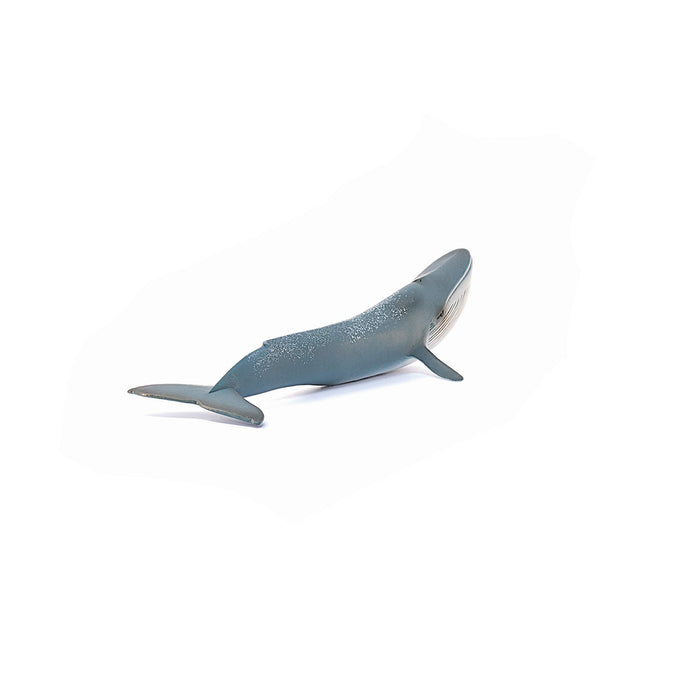 Schleich Wild Life Blue Whale Toy Figurine PVC 27.4Lx10.1Wx4.9Hcm14806 NEW_4