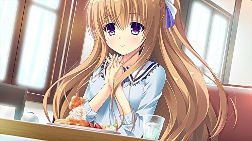 Amenity's Life PS Vita Game Software Standard Edition VLJM-38054 Adventure Game_4