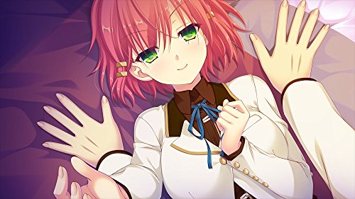 Amenity's Life PS Vita Game Software Standard Edition VLJM-38054 Adventure Game_5