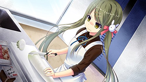 Amenity's Life PS Vita Game Software Standard Edition VLJM-38054 Adventure Game_6