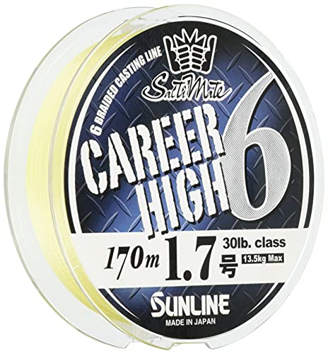 SUNLINE PE Line Saltimate Career High 6 170m 30lb #1.7 Gold Fishing Line NEW_1