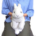 Hizausagi Knee Rabbit Plush Doll Stuffed toy white 37cm SUN LEMON Anime NEW_5