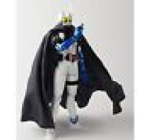 S.H.Figuarts Masked Kamen Rider ETERNAL Shinkocho Seihou (Renewal) Figure BANDAI_4