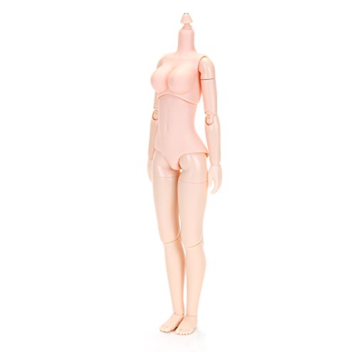 Obitsu Doll 24BD-F02N-L 24 cm Obitsu Body Bust L New Type Natural from Japan_1
