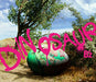 CD+Blu-ray DINOSAUR First Limited Edition B'z BMCV-8053 30th Anniversary NEW_1