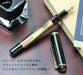 Pelikan Fountain Pen Marble Brown Classic M200 Extara Fine (EF) Inhalation NEW_3