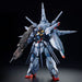 BANDAI MG 1/100 PROVIDENCE GUNDAM SPECIAL COATING Model Kit Gundam SEED NEW_3