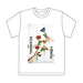 SCANDAL HONEY First Limited Edition CD T-shirt ESCL-4957 J-Pop NEW from Japan_3