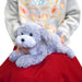Sunlemon Hiza Wanko (Knee Dog) Plush Doll Toy Poodle Gray S P-4152 H18xW20xD37cm_5