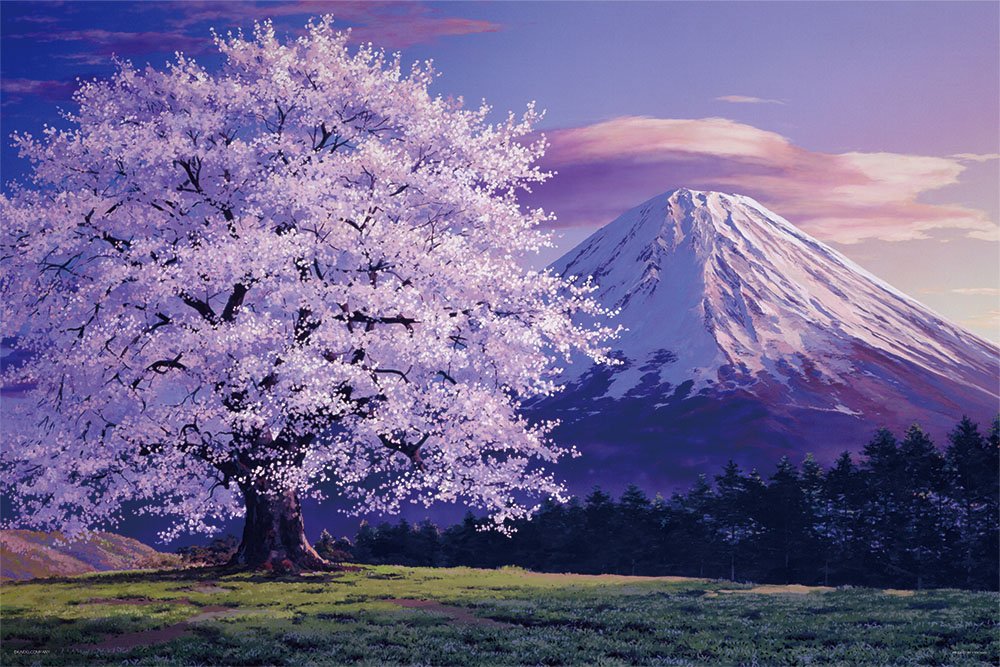 1000 piece jigsaw puzzle Mt. Fuji cherry blossoms in full bloom 50x75cm ‎10-1304_1