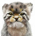 HANSA Stuffed animal real No.7299 pallas cat pups 17 BH7299 NEW from Japan_4