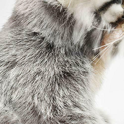 HANSA Stuffed animal real No.7299 pallas cat pups 17 BH7299 NEW from Japan_5