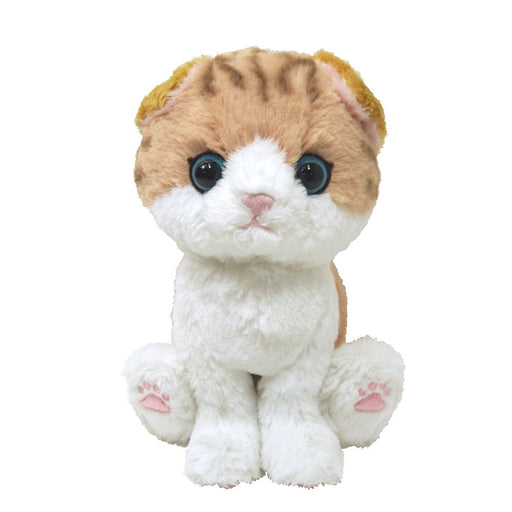 SUNLEMON PLUSH DOLL KITTEN SCOTTISH FOLD BROWN SIZE S P-4222 NEW from Japan_1