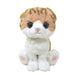 SUNLEMON PLUSH DOLL KITTEN SCOTTISH FOLD BROWN SIZE S P-4222 NEW from Japan_1
