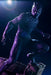 ARTFX Marvel BLACK PANTHER 1/6 PVC Figure KOTOBUKIYA NEW from Japan_7