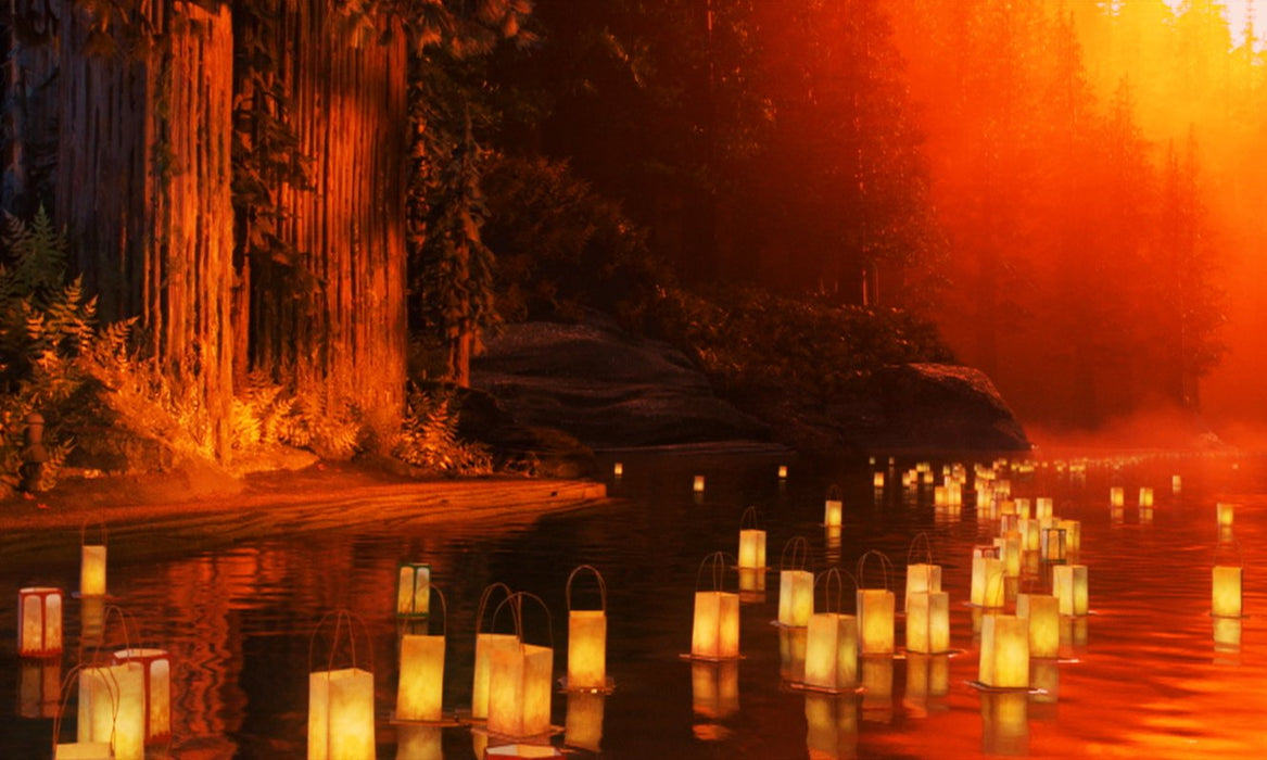 Blu-ray Kubo and the Two Strings 2D&3D Premium Edition w/Case, Booklet GABS-1708_7