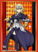 Bushiroad Sleeve Collection HG Vol.1504 Fate/Apocrypha [Ruler] (Card Sleeve) NEW_1