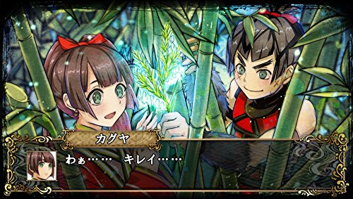 GOD WARS Japanese Mythology Battle Nintendo Switch Game Software HAC-P-ANUNA NEW_3