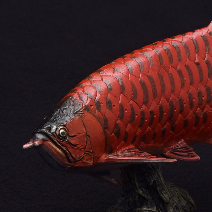 Favorite Red Asian arowana Soft model Designed by Kazuyuki Moria Figure FF-005_5
