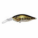 Megabass DEEP-X 100 LBO Crankbait GG Bass 3/8 oz NEW from Japan_1