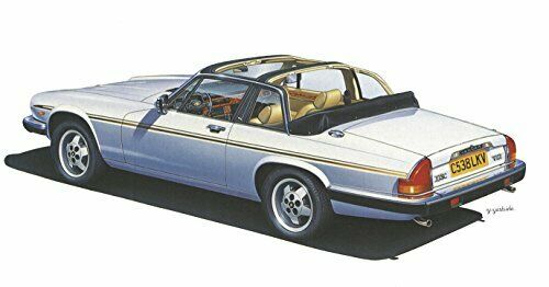 Hasegawa 1/24 Jaguwa XJ-SC V12 Cabriolet Model Car 20352_3