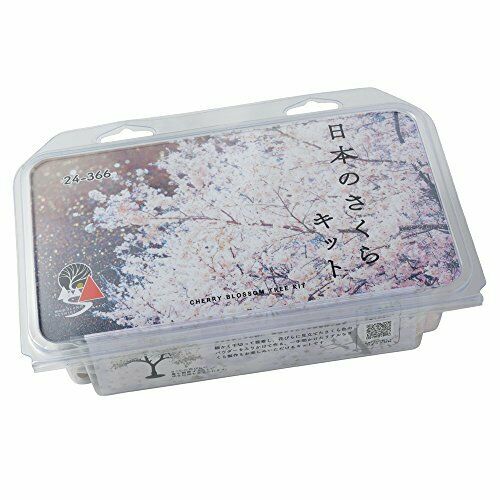 Kato [Japanese Cherry] Cherry Blossom Tree Kit (12 pieces) NEW from Japan_5