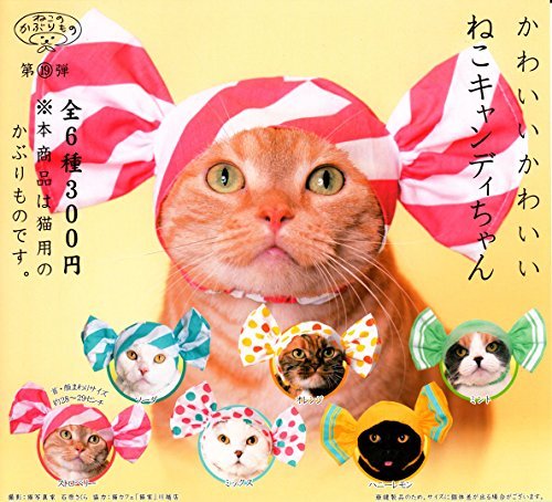 Kitan club Cat of the headgear 19 cute cat candy-chan Set of 6 New from Japan_1